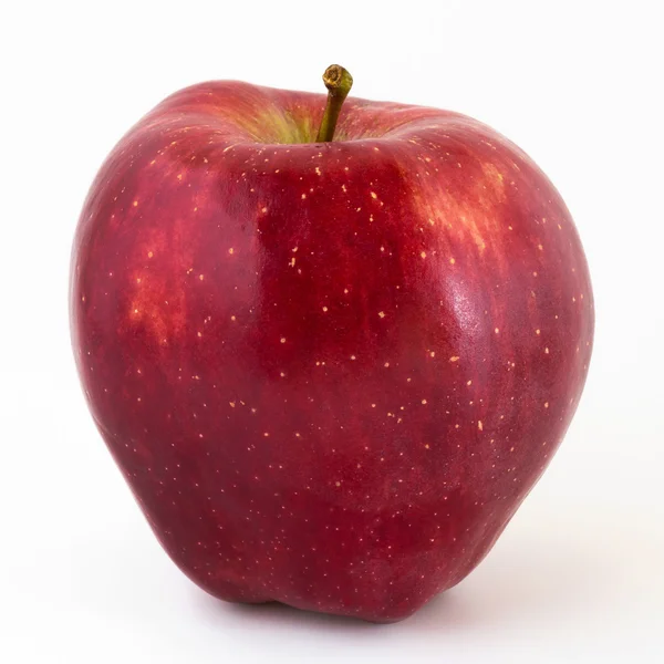 Rött äpple — Stockfoto