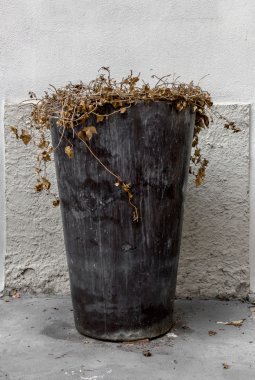 Ölü çiçeklerin vazo