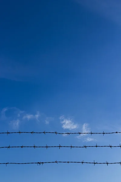 Barbed wire and blue sky with clouds — Stock Photo, Image