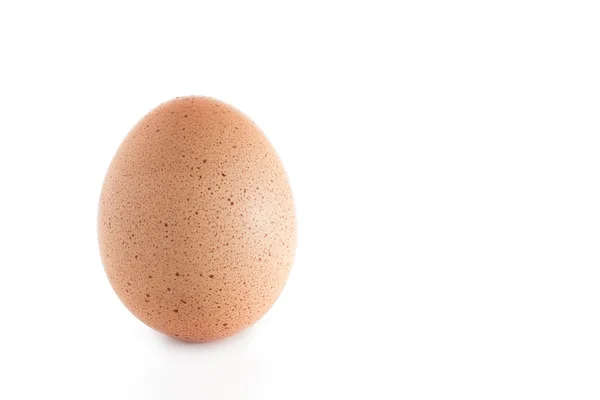 Huevo de gallina marrón —  Fotos de Stock