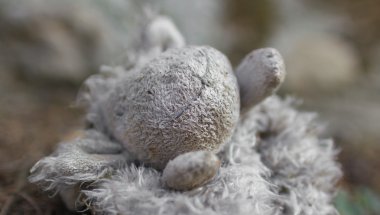 Terk edilmiş dolma oyuncak.