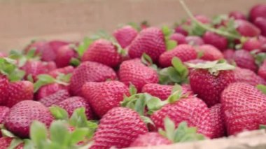 Bir çiftlikten taze kırmızı çilek ahşap kutu