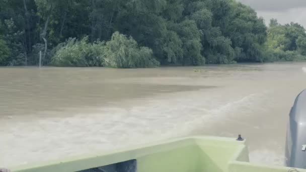 Tgre Nehir Manzarası — Stok video