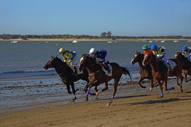 Horse Racing Sanlucar de Barrameda clipart