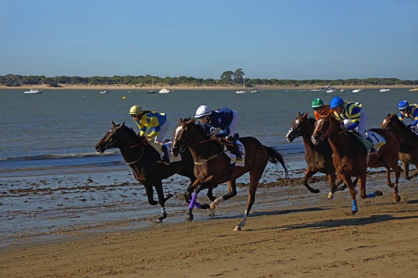 Corse di cavalli Sanlucar de Barrameda — Foto Stock