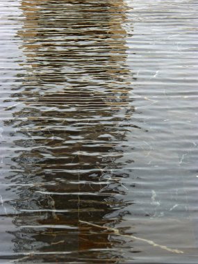 Cordoba tarihi şehir bir kaynaktan su