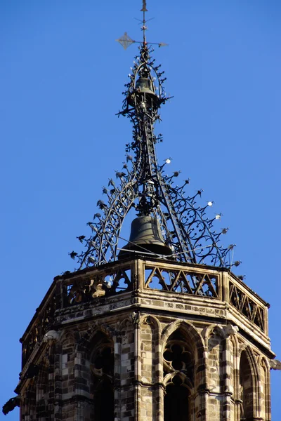 Cattedrale di Santa Eulalia a Barcellona — Foto Stock