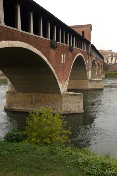 Ponte Coperto i Pavia — Stockfoto