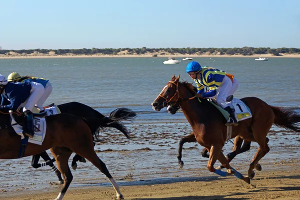 Course de chevaux Sanlucar de Barrameda — Photo