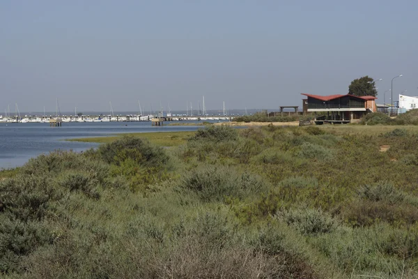 Boca del río Tinto — Foto de Stock