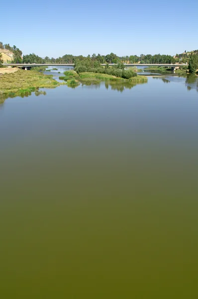 O rio Guadiana enquanto passa pela cidade de Badajoz — Fotografia de Stock