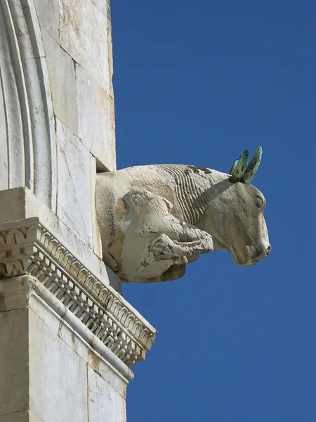 Architectural detail in the Square of Miracles of Pisa — Stock Photo, Image
