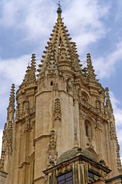 San Salvador katedral Kulesi