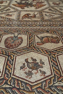 Louvre Müzesi içinde Roma Mozaik