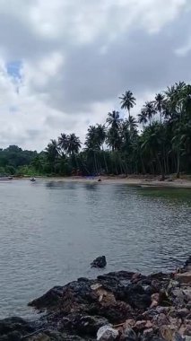 Corbyn Koyu sahili manzarası