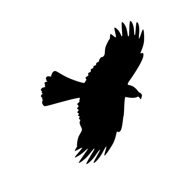 Black Silhouette of Hawk — Stock Vector