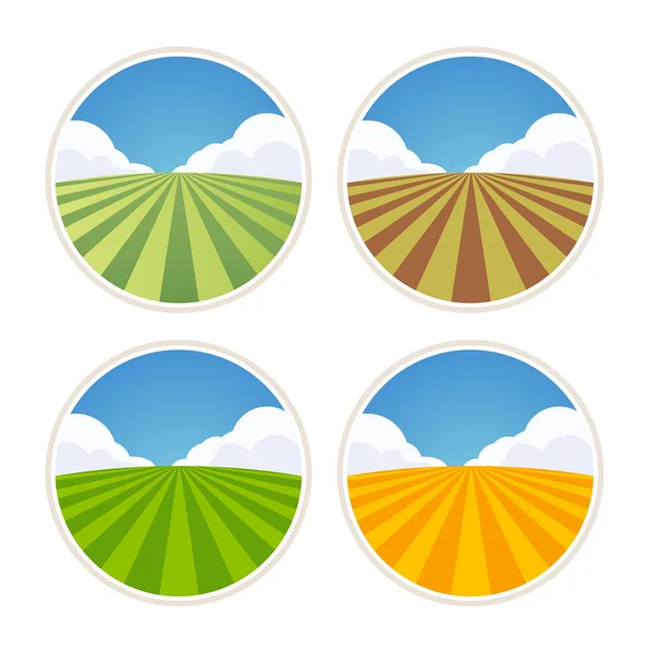 Barley, Rye and Wheat Fields — Stock Vector