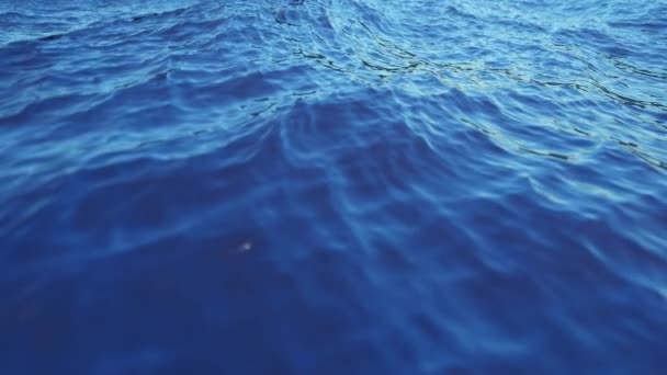 Blaue Meeresoberfläche bei sonnigem Wetter — Stockvideo