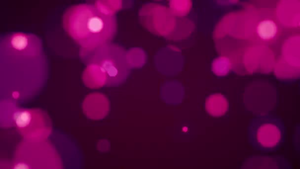 Pink dark abstract background with rose bubbles pop up — Stock Video