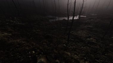Yanmış orman, dumanlı ölü ağaçlar ve yerde kömürlerle