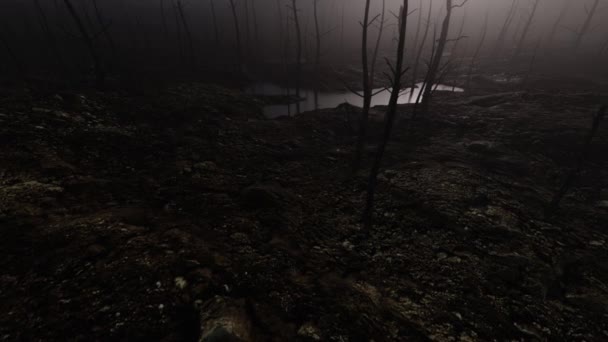 Burnt forest with dead trees in smoke and coals on the ground — Stock Video