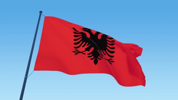 Албанські прапори Кадри в день світло видування близько — стокове відео