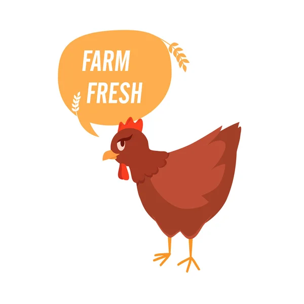 Ferme fraîche. Poulet — Image vectorielle