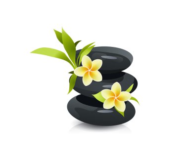 Güzel çiçekler ve taşlar