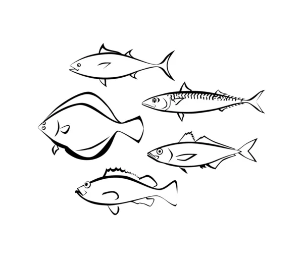 Peces de mar sobre fondo blanco — Vector de stock