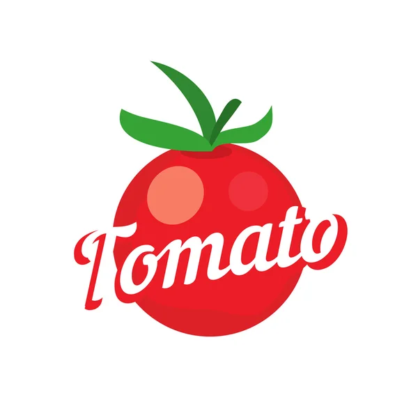 Tomato on white background — Stock Vector