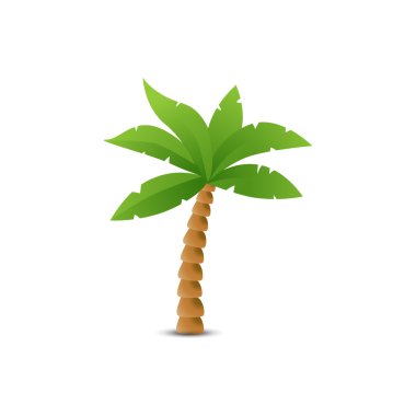 Beyaz izole tropikal palmiye