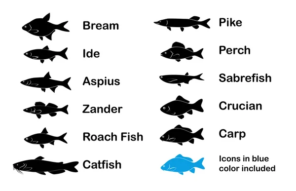 Set of River and Limnetic Fishes Royalty Free Stock Vectors