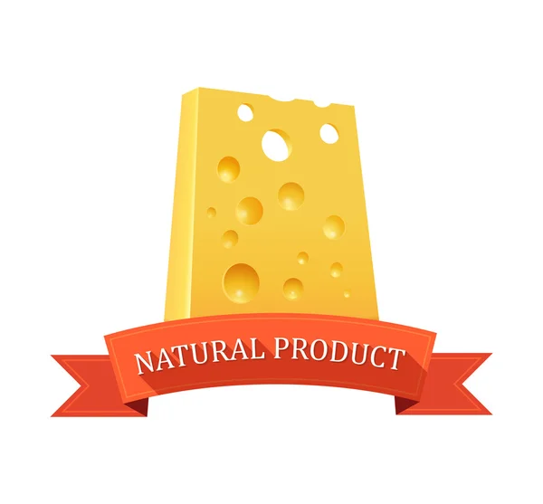 Pedazo de queso suizo — Archivo Imágenes Vectoriales