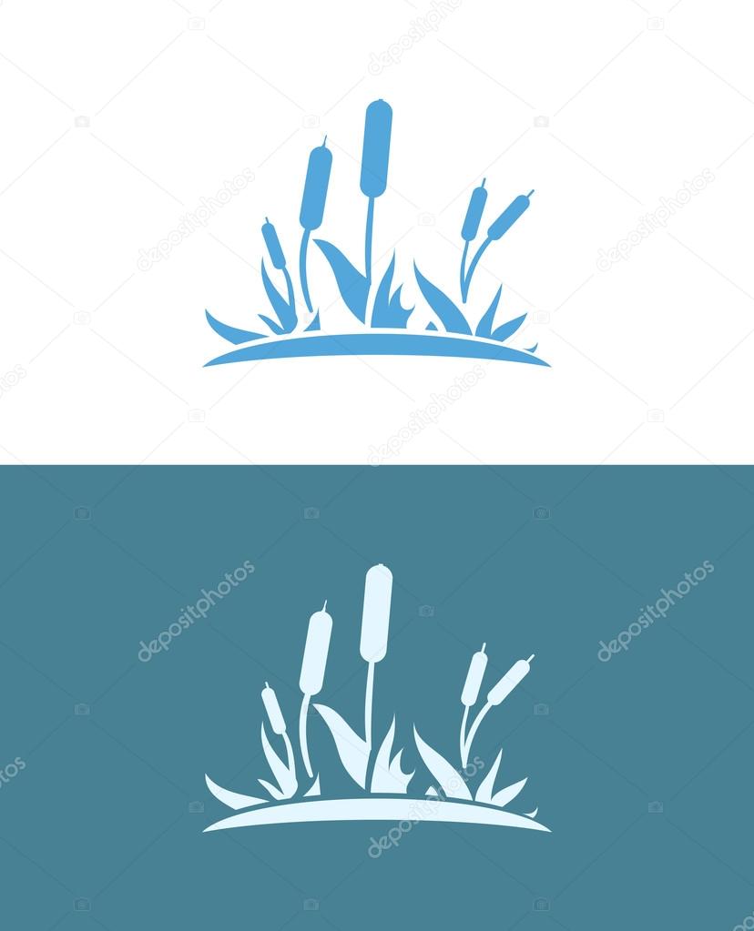 Cattail on white and blue background, Vector Illustration of wild lake, EPS10