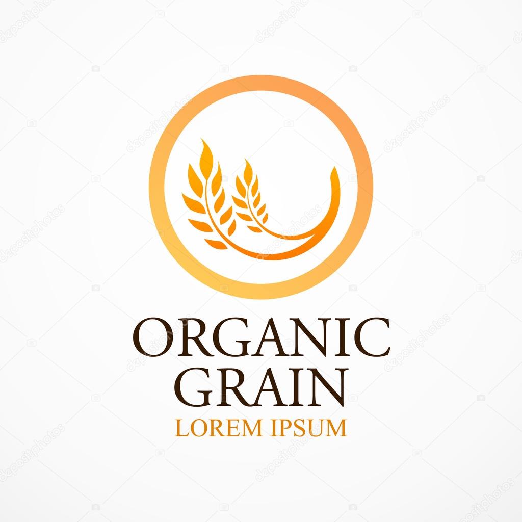Logotype with caption, Ears of Wheat, Vector Illustration, Icon of Premium Quality Farm Product in gold color isolated on white