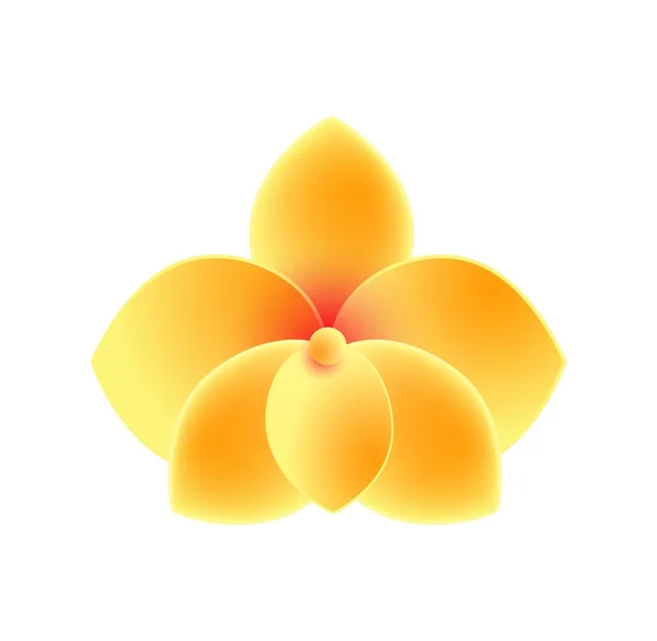 Hermosa orquídea amarilla — Vector de stock