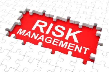 risk yönetimi