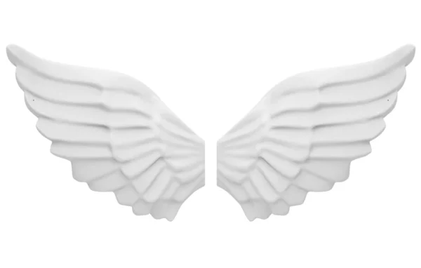 The angel's wings — Stock Photo, Image