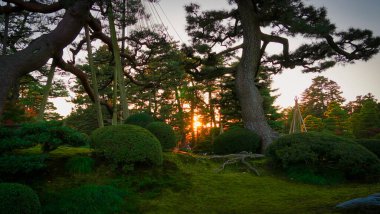 Japon bahçesinde sonbahar günbatımı.