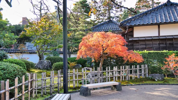 Sonbaharda Güzel Bir Japon Bahçesi — Stok fotoğraf