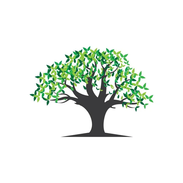 Árbol Logotipo Plantilla Vector Ilustración — Vector de stock