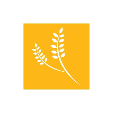 Tarım buğday logosu vektör ikonu tasarımı illüstrasyonu