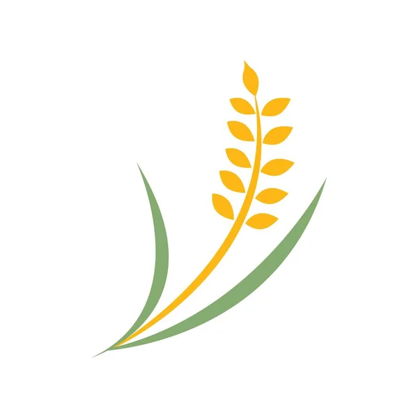 Rolnictwo Pszenica Logo Wektor Wzór Ikona Projekt Ilustracja — Wektor stockowy