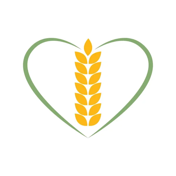 Agricultura Trigo Logotipo Modelo Vetor Ícone Design Ilustração —  Vetores de Stock