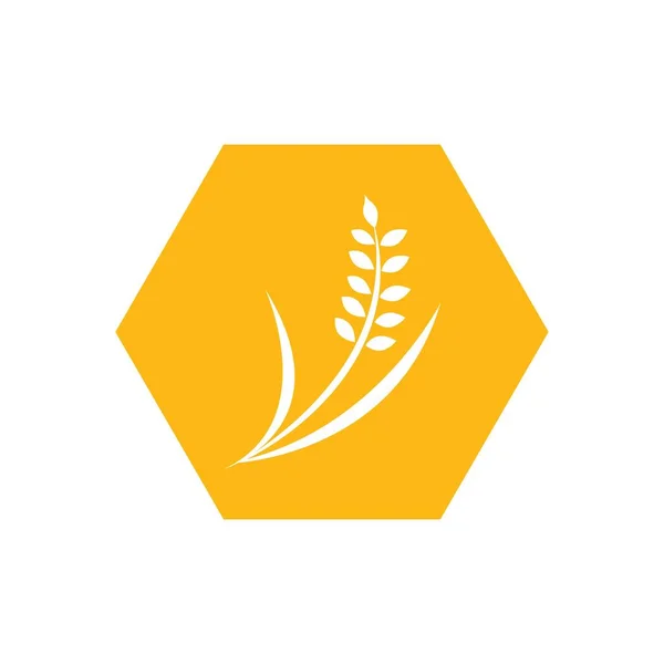 Agricultura Trigo Logotipo Modelo Vetor Ícone Design Ilustração —  Vetores de Stock