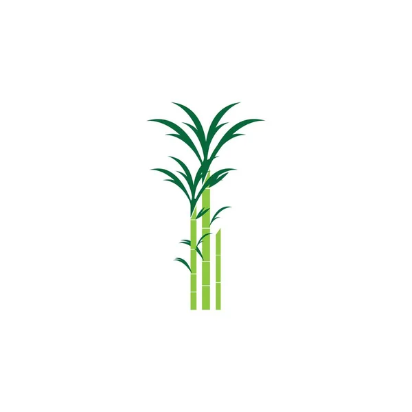 Ikona Trzciny Cukrowej Wektor Projekt Ilustracji Szablon Logo — Wektor stockowy