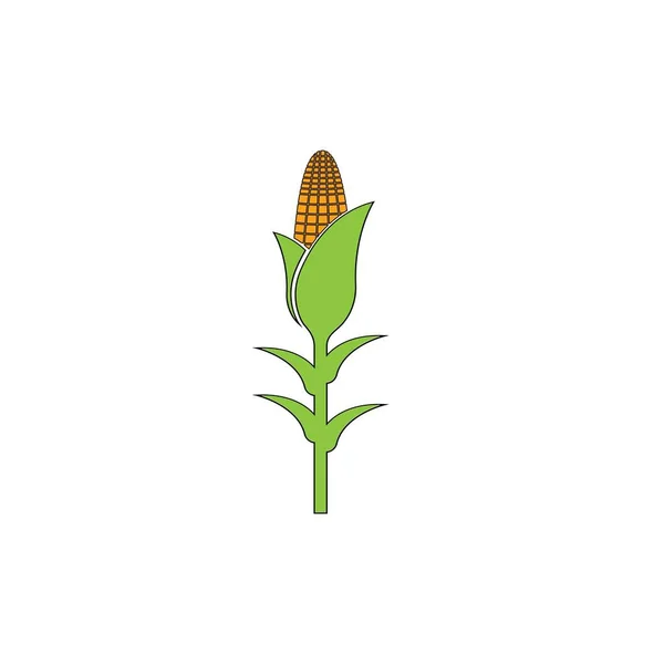 Corn Icon Vector Design Element Illustration Template — Vector de stock