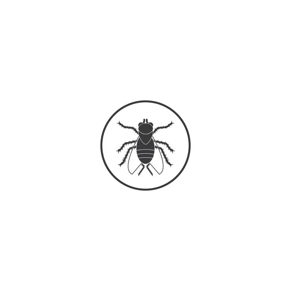 Icono Insecto Vector Diseño Símbolo Ilustración Eps — Archivo Imágenes Vectoriales