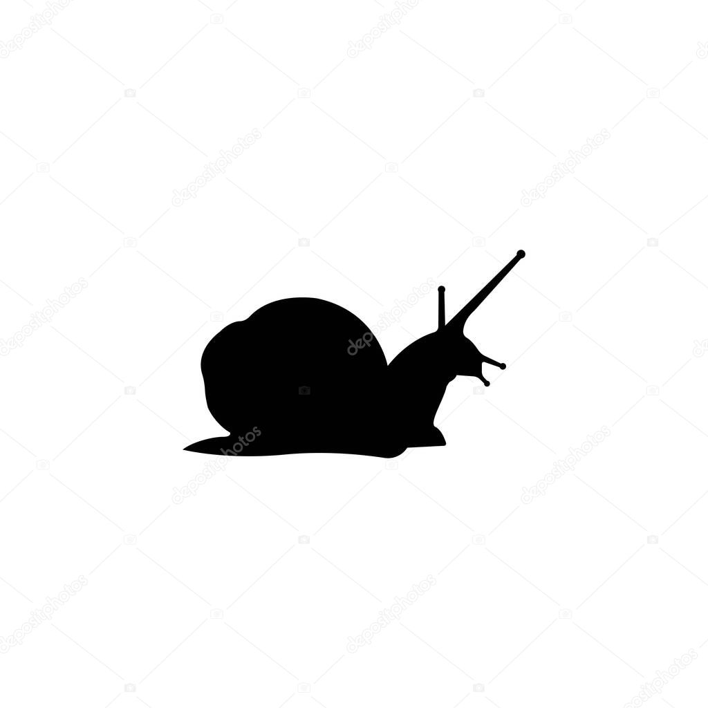Snail icon vector illustration logo design templat.