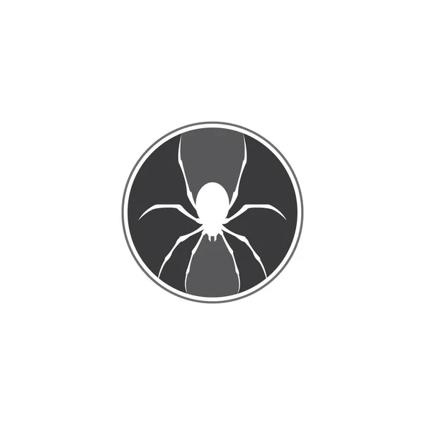 Šablona Návrhu Vektoru Ikony Pavouka — Stockový vektor